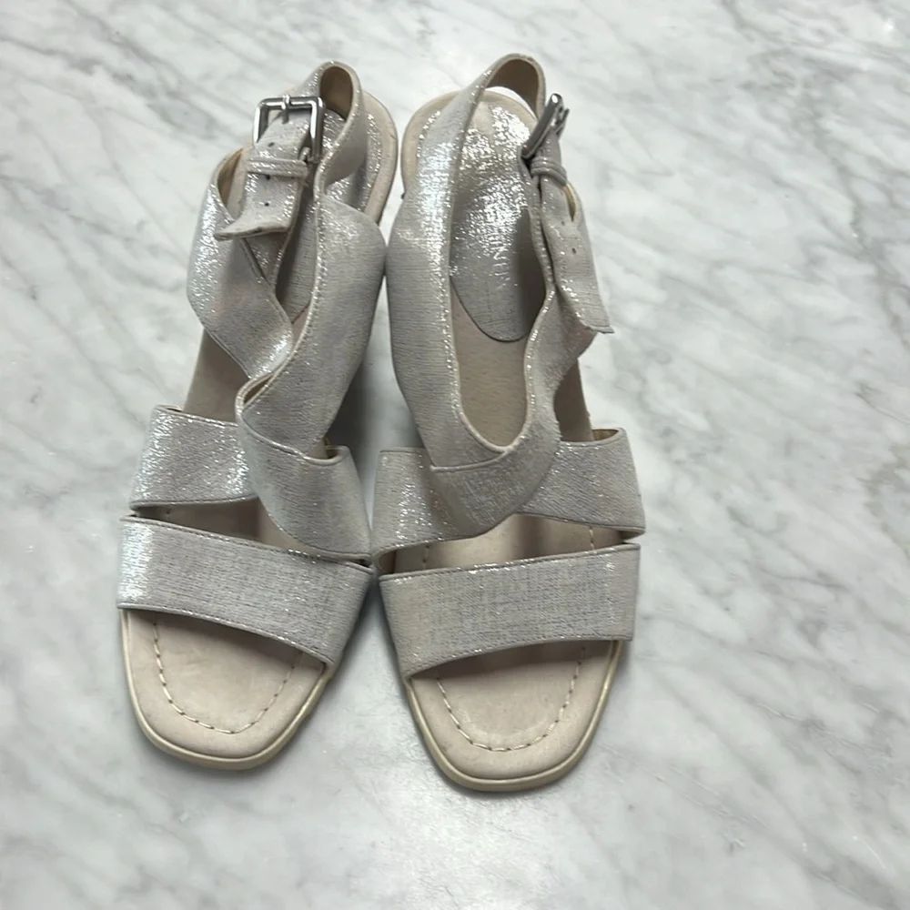 Donald J Pliner Brevos Silver Wedge Espadrilles Size 8